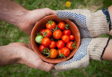 20 Reasons Why You Should Grow Your Own Food
